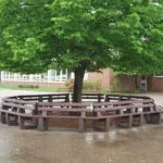 circular bench under tree